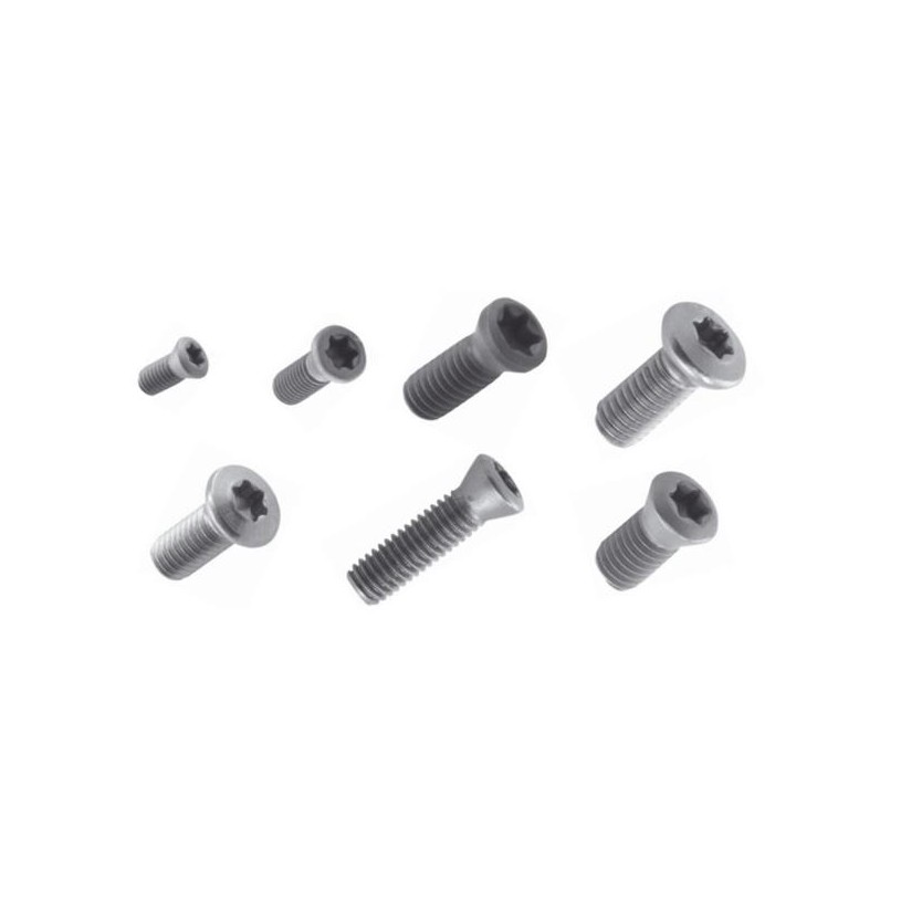 Torx screw M1,8 x4 3006 Akko - Technical Articles