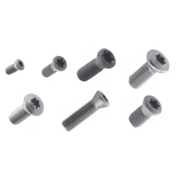 Torx bolt 3006 M1.8x4 Akko