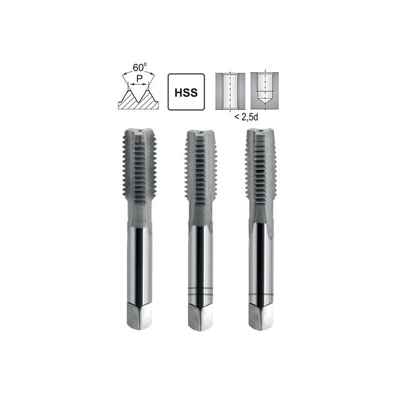 Hand Tapping M56 ISO 529/3 HSS 6H FWP.