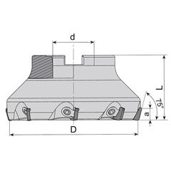 Rough Tool Holder L 257.1.10-125 - zdjęcie 2