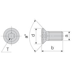 Śruba Torx 1008 M2.5X7 Akko-42308