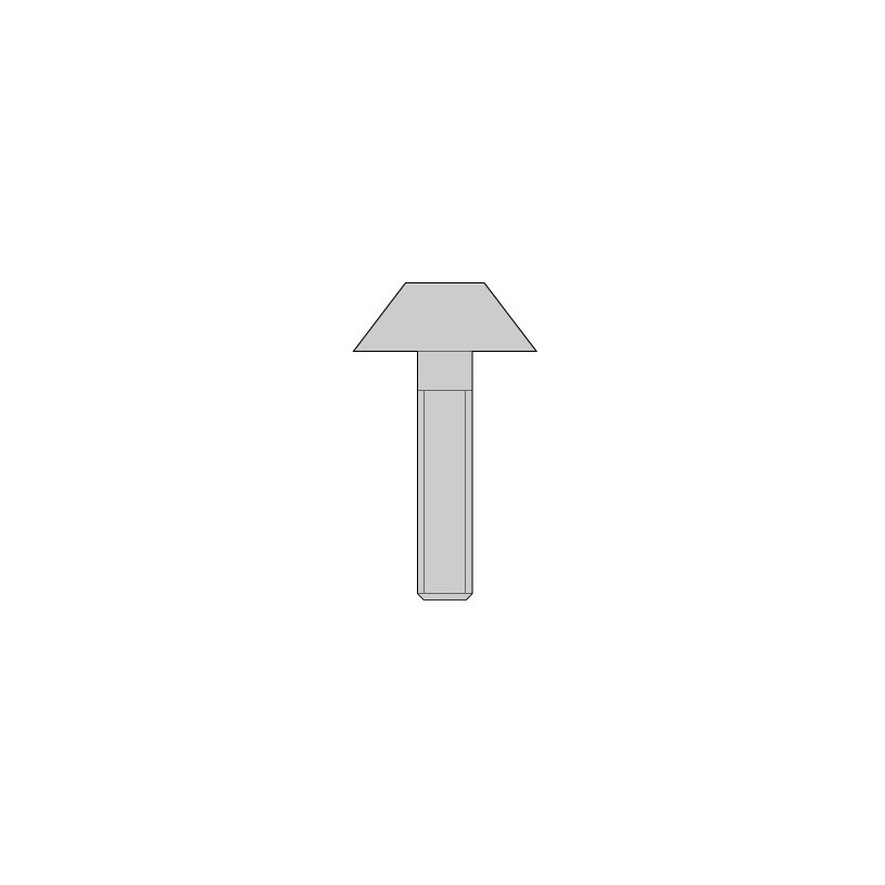 Clamp bolt 117.26-655 - Pafana