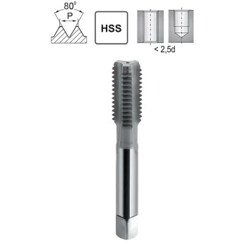 Hand Tap NGSy Pg-29 DIN 40430 HSS