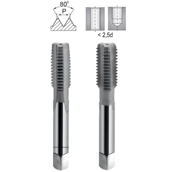 Hand Tap NGSy Pg-9 DIN 40432/2 WS