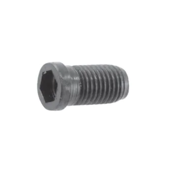 Screw AAV-07-M4.5X13 Akko