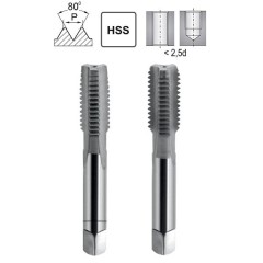 Hand Tap NGSy Pg-21 DIN 40430/2 HSS