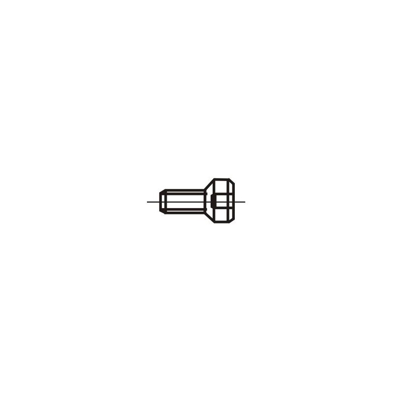 Screw S-3509 - Technical articles.